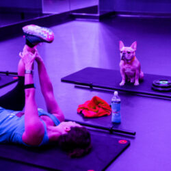 Prime Fitness RX - Image 9