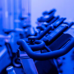 Prime Fitness RX - Image 13