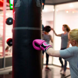 Prime Fitness RX - Image 14