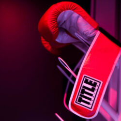 Prime Fitness RX - Image 16